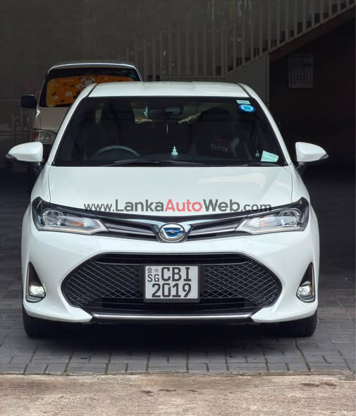 TOYOTA AXIO WXB 2019