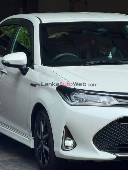 TOYOTA AXIO WXB 2019