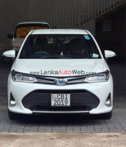 TOYOTA AXIO WXB 2019