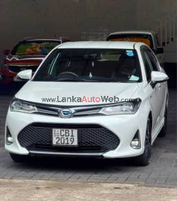 TOYOTA AXIO WXB 2019