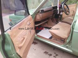 1978/DATSUN SUNNY CAR 